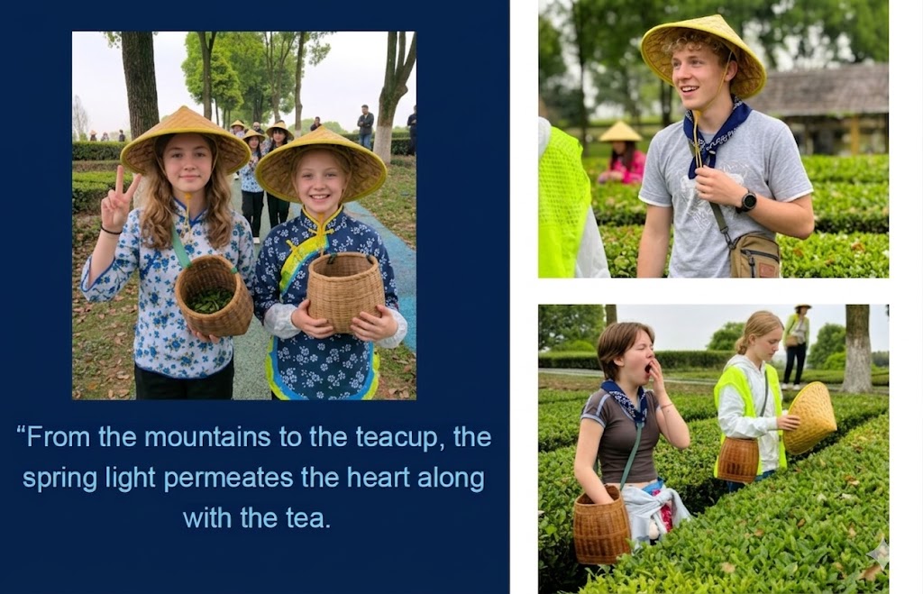 Sichuan Tea Trip